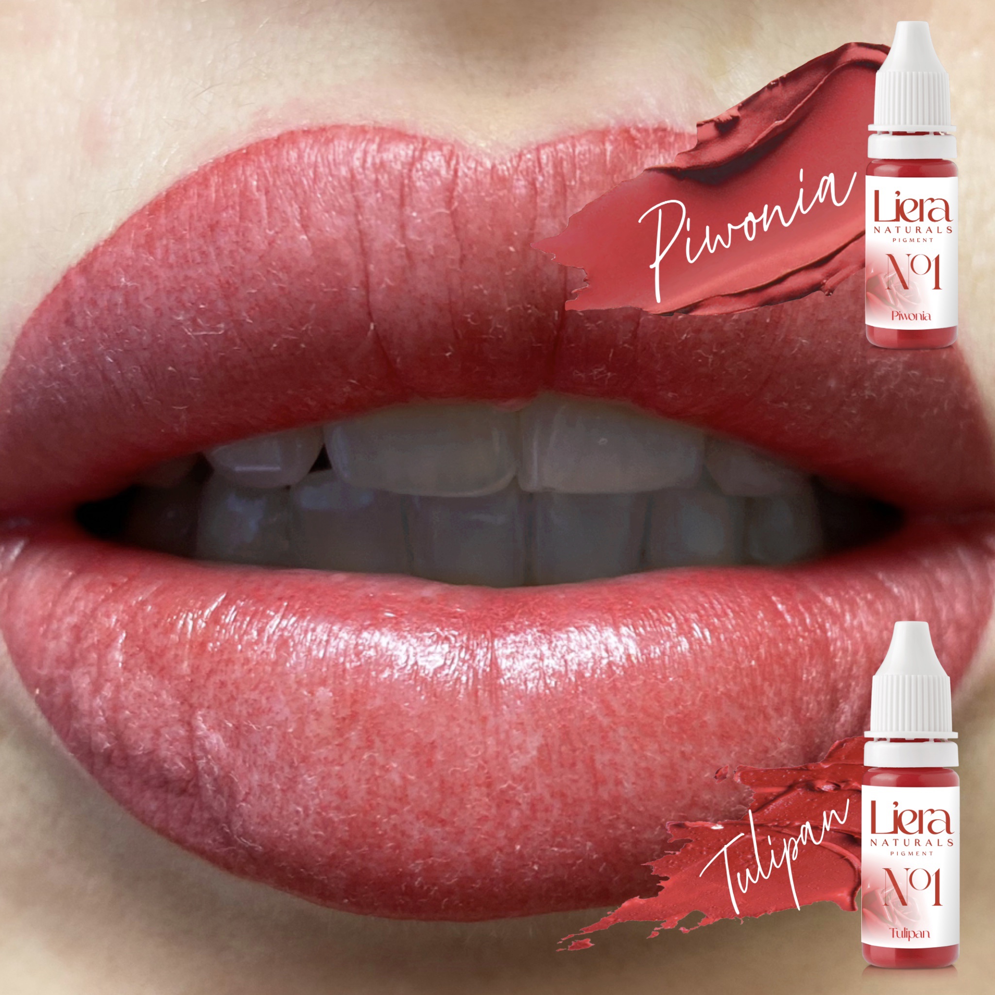 piwonia tulipan liera naturals